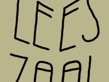 The Citizen Professional, Mediatization, and the Creation of a Public Domain The Citizen Professional, Mediatization, and the Creation of a Public Domain
